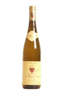 Pinot Gris Roche Calcaire