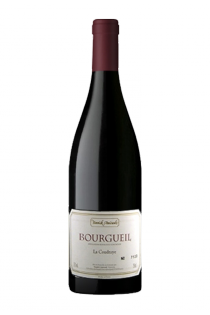 Bourgueil - Cote 50
