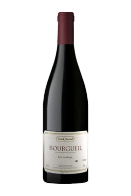 Bourgueil - Cote 50 Bourgueil - Cote 50