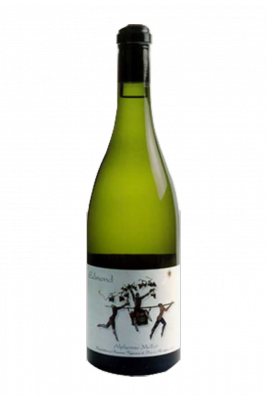 Sancerre - Edmond (Blanc) Sancerre - Edmond (Blanc)