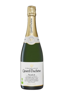 Champagne Parcelle 181 Extra Brut